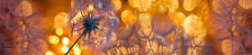 Кухонный фартук Мерцание Одуванчики золотистые 3 серебро в Дзержинске - dzerzhinsk.katalogmebeli.com | фото
